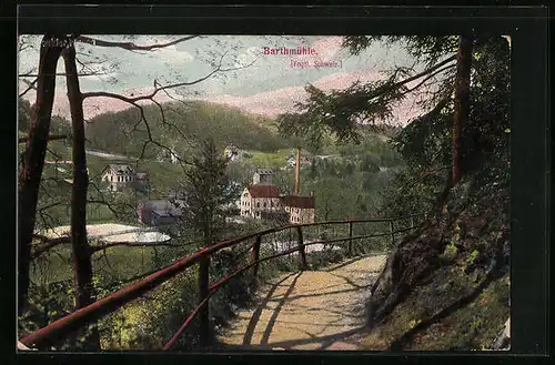 AK Barthmühle / Vogtl. Schweiz, Panorama