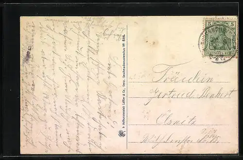 AK Barthmühle / Vogtl. Schweiz, Panorama