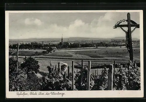 AK Iphofen, Blick über die Weinberge