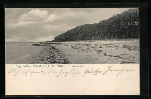 AK Scharbeutz /Ostsee, Strandpartie mit Wald