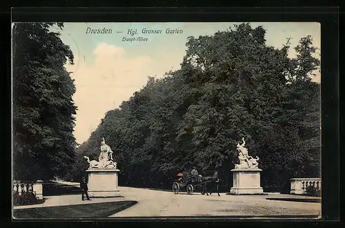 AK Dresden, Haupt-Allee im Kgl. Grossen Garten
