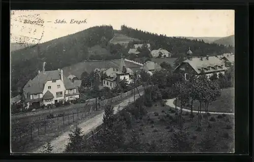 AK Bärenfels /Sa., Teilansicht mit Strasse aus der Vogelschau