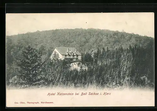 AK Bad Sachsa /Harz, Hotel Katzenstein aus der Vogelschau