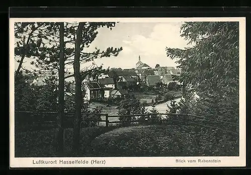 AK Hasselfelde /Harz, Blick vom Rabenstein