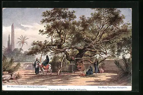 Künstler-AK Friedrich Perlberg: Der Marienbaun von Matarîje (Heliopolis)