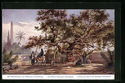 Künstler-AK Friedrich Perlberg: Der Marienbaum von Matarîje (Heliopolis)