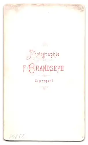 Fotografie F. Brandseph, Stuttgart, junger blonder Chevaulegers in Uniform mit Epauletten