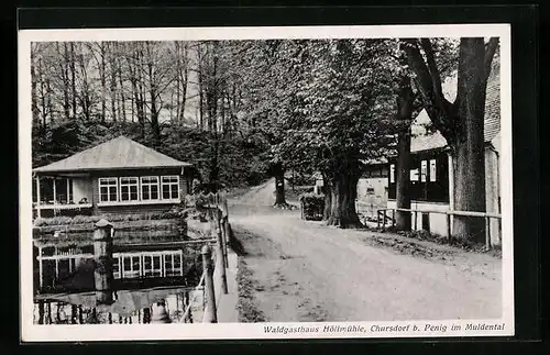 AK Chursdorf bei Penig /Muldental, Waldgasthaus Höllmühle mit Strasse und Teich