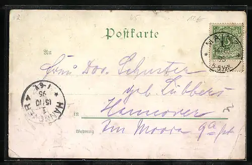 Vorläufer-Lithographie Mainz, 1895, Teilansicht mit Dampfern, Guttenbergdenkmal