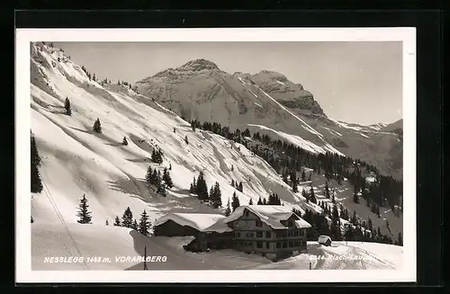 AK Nesslegg, Haus am Berghang im Einter