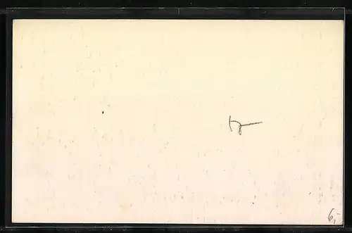 AK Laibach, Totalansicht aus der Vogelschau