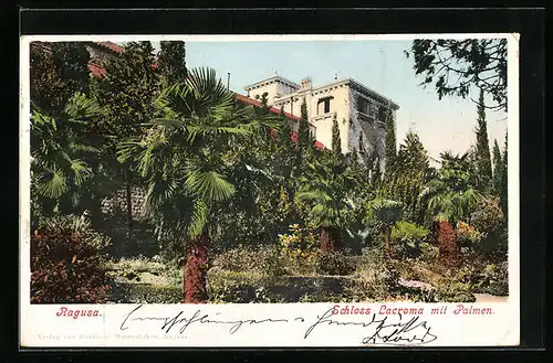AK Ragusa, Schloss Lacroma mit Palmen