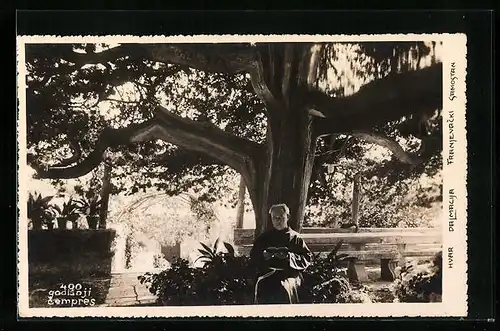 AK Hvar, godisnji cempres, Priester im Garten