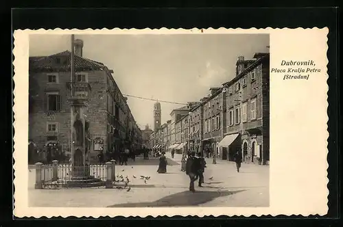 AK Dubrovnik, Placa Kralja Petra