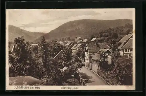 AK Ilsenburg am Harz, Partie in der Buchbergstrasse