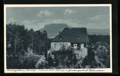 AK Gohrisch /Sa., Erholungsheim Heidehof aus der Vogelschau