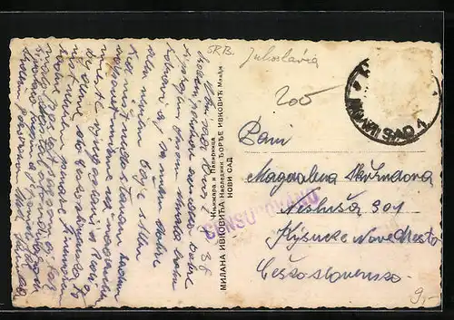 AK Novi Sad, Dunavska ulica