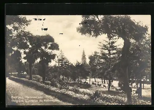 AK Belgrade, L`avenue du Kalimegdan