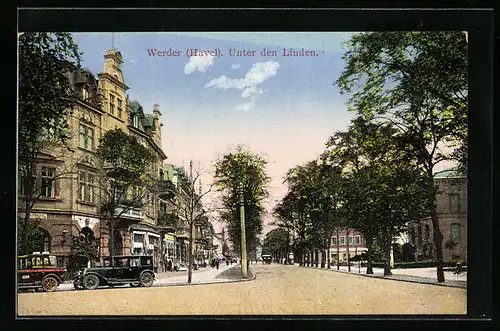 AK Werder /Havel, Unter den Linden, Strassenblick