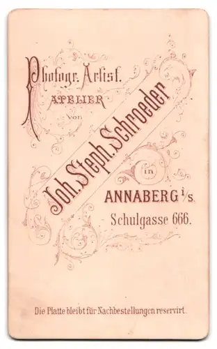 Fotografie J. S. Schroeder, Annaberg, Schulgasse 666, ein junger gepflegter Mann