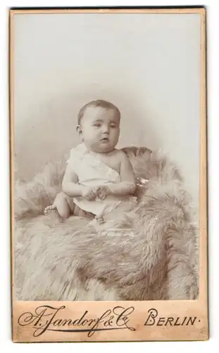 Fotografie A. Jandorf, Berlin, Leipzigerstr. 64, Baby sitzt auf einem Tierfell