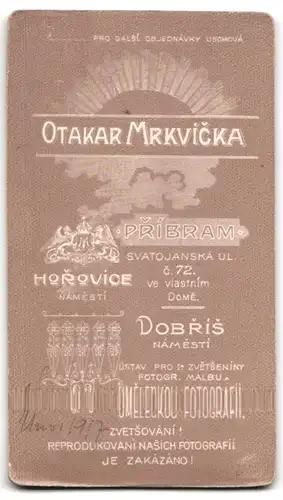 Fotografie Otakar Mrkvicka, Pribram, Svatojanska ul. 72, ein junger Herr mit Krawatte