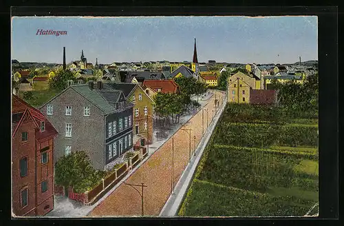 AK Hattingen, Teilansicht mit Strasse und Gärten