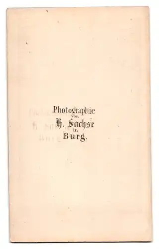 Fotografie H. Sachse, Burg, Herr im dunklen Anzug mit Fliege und Bart