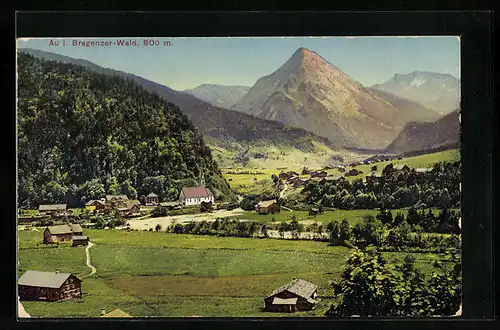 AK Au, Ortsansicht mit Feldern und Berggipfel