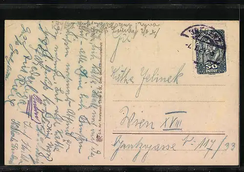 AK Fluh b. Bregenz, Restaurant Halder, Panoramablick von einer Anhöhe