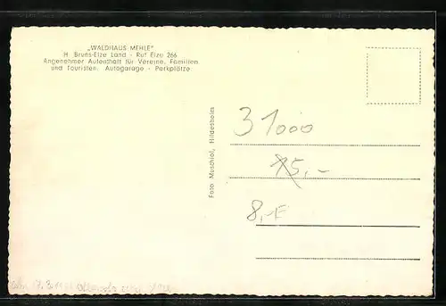 AK Elze, Gasthaus Waldhaus Mehle, Innenansicht, Garten