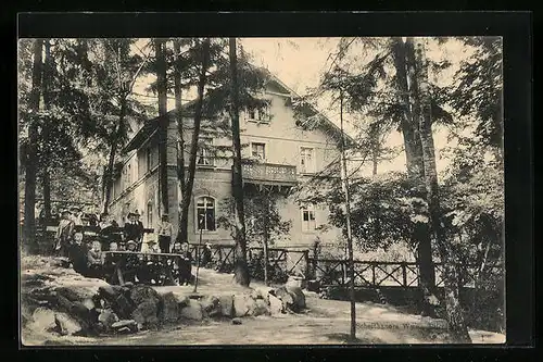 AK Dresden-Pillnitz, Gasthaus Borsberg - Gartenansicht