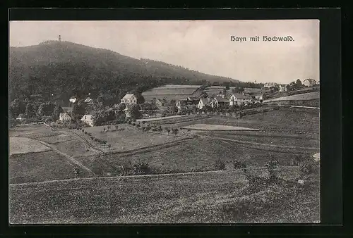 AK Hayn, Panorama mit Hochwald