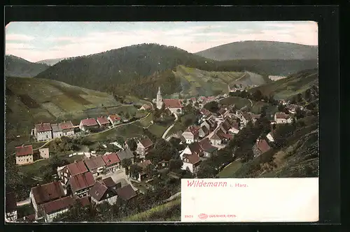 AK Wildemann / Harz, Totale vom Berg aus gesehen