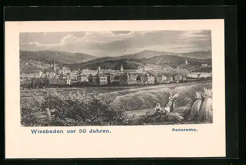 AK Wiesbaden, Panorama
