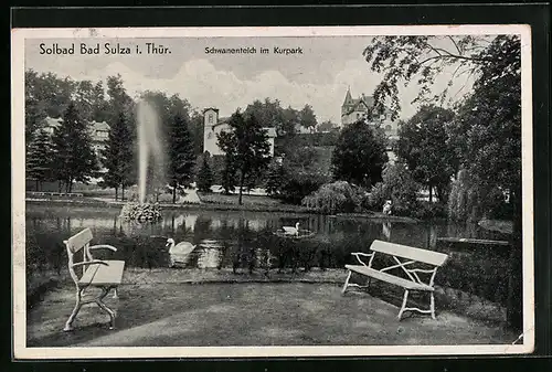 AK Bad Sulza / Thür., Schwanenteich im Kurpark