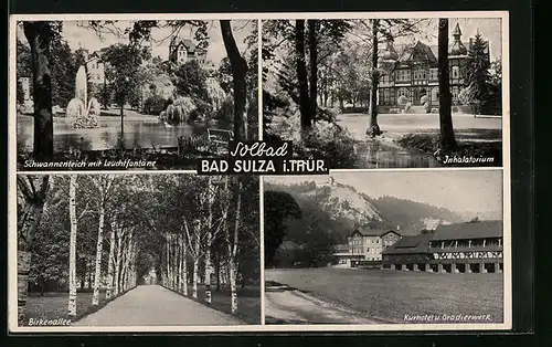 AK Bad Sulza i. Thür., Schwanenteich, Inhalatorium, Birkenallee, Kurhotel