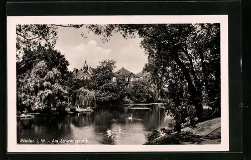 AK Minden i. W., am Schwanenteich