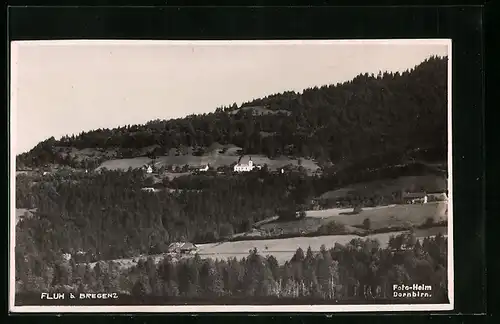 AK Fluh bei Bregenz, Teilansicht mit Wiesen