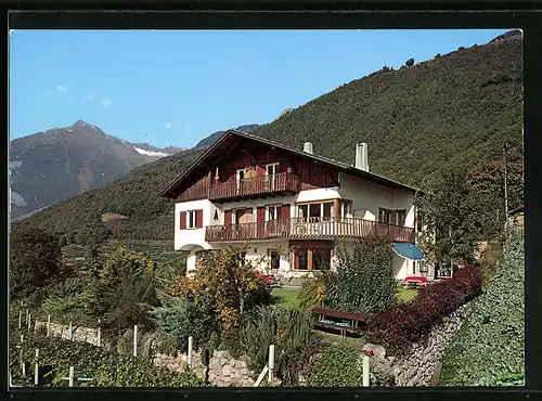 AK Algund bei Meran, Pension Lichtenberg - Gartenansicht mit Umgebung