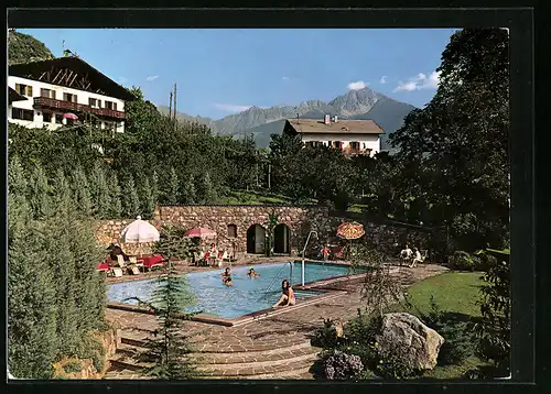 AK Algund bei Meran, Pension Lichtenberg - Garten mit Swimming Pool