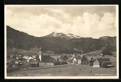 AK Andelsbuch, Ortspanorama mit Bergblick