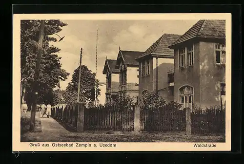 AK Zempin a. Usedom, Waldstrasse mit Passanten