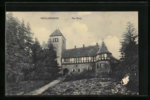 AK Wohldenberg, Die Burg