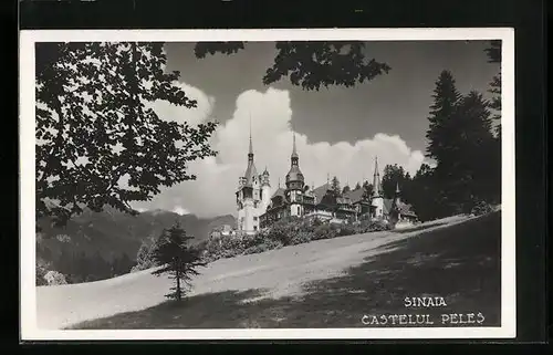 AK Sinaia, Castelul Peles