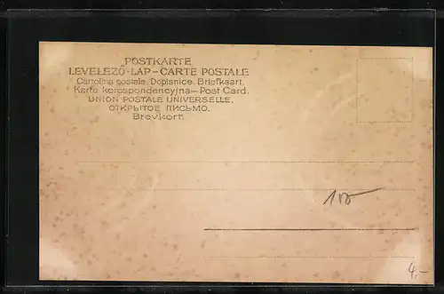 AK Sarajevo, Totalansicht von Westen