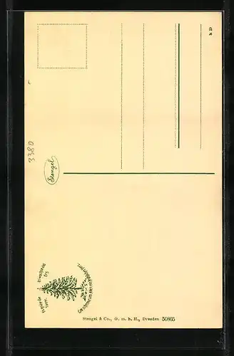 AK Goslar a. Harz, Bergstrasse mit Marktkirche