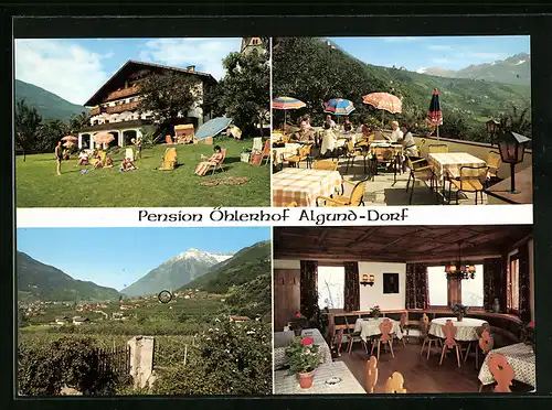 AK Algund-Dorf, Pension Öhlerhof, Ortsansicht