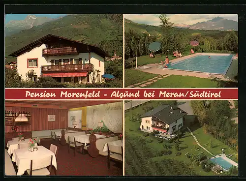 AK Algund-Mühlbach, Pension Morenfeld mit Swimming Pool