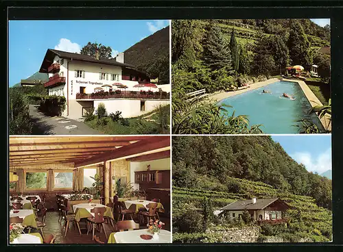 AK Algund bei Meran, Cafe-Restaurant Feigenstauder mit Swimming Pool